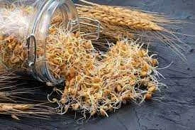 تاثیر جوانه گندم برای چاقی صورت