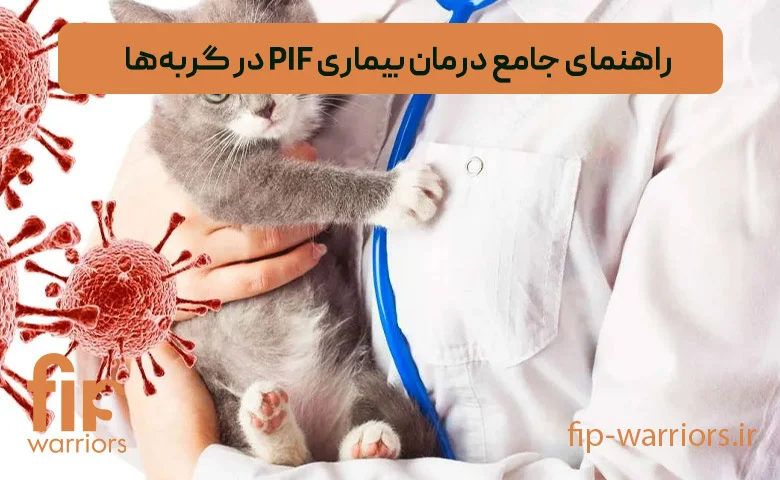درمان تأثیر داروی GS-441524 بر درمان FIP گربهها: تجربههای موفق در ایران