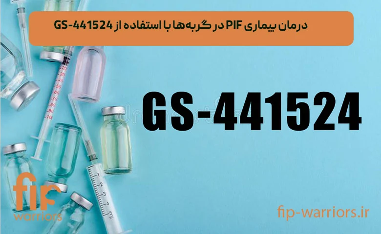 درمان تأثیر داروی GS-441524 بر درمان FIP گربهها: تجربههای موفق در ایران