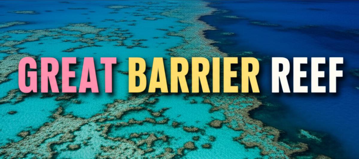 دیواره بزرگ مرجانی Great Barrier Reef