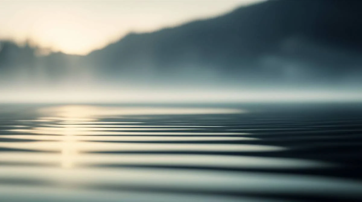 خلاصه کتاب ذهن آگاهی: رهایی از استرس و اضطراب